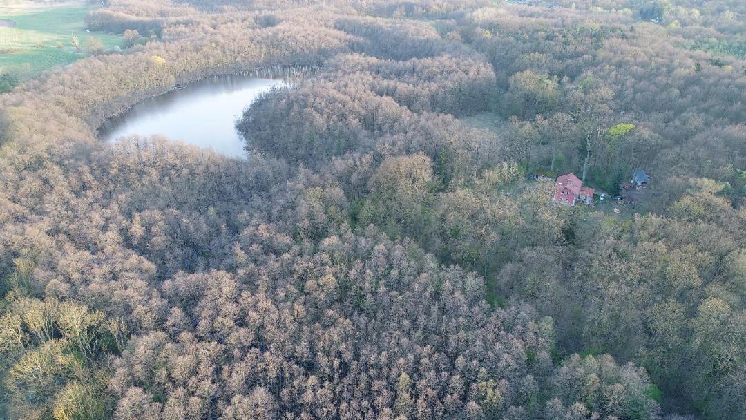 Altes Forsthaus Garzau Daire Dış mekan fotoğraf